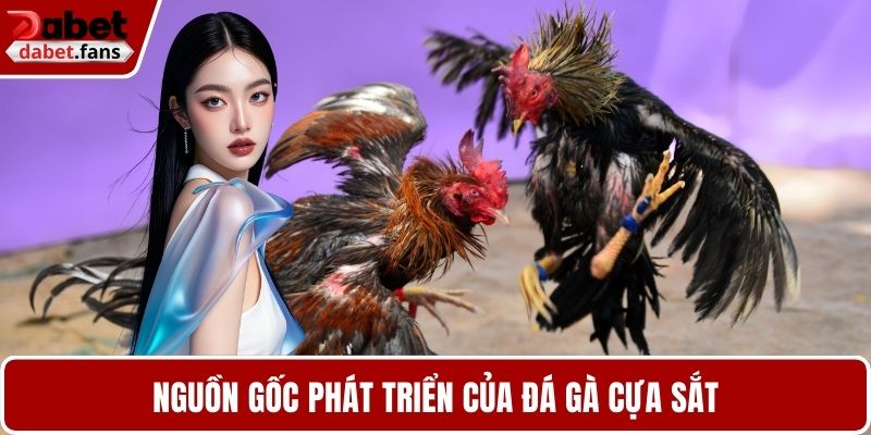 Nguồn gốc phát triển của đá gà cựa sắt
